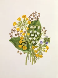 Maiglöckchen und Schlüsselblumen